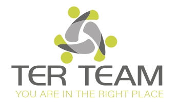 TerTeam Logo